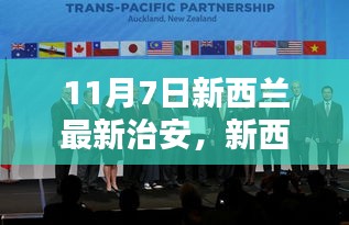 案例 第539页
