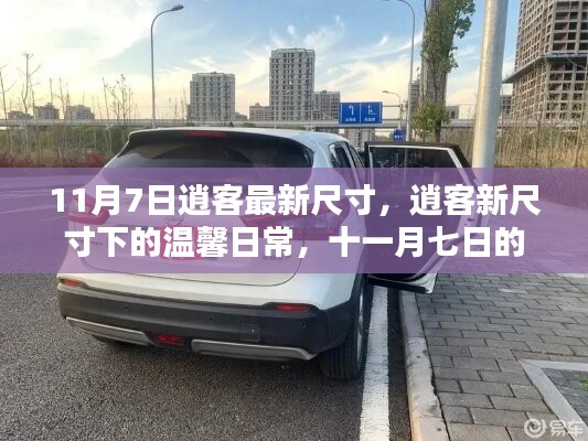 条款 第555页