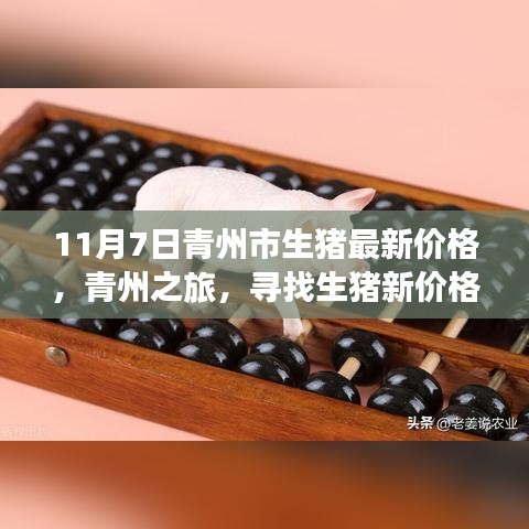 条款 第553页