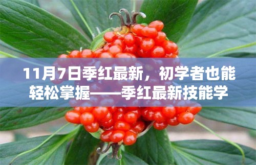 商品分类 第545页
