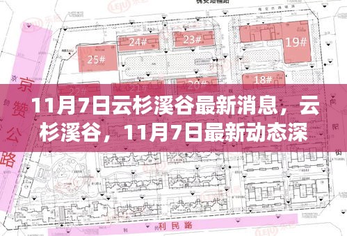 条款 第549页