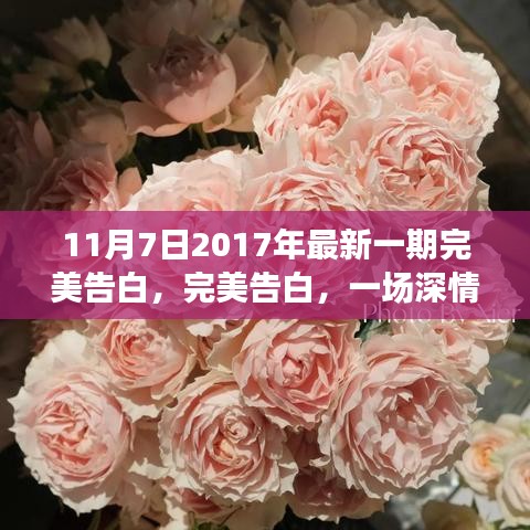 商品分类 第544页