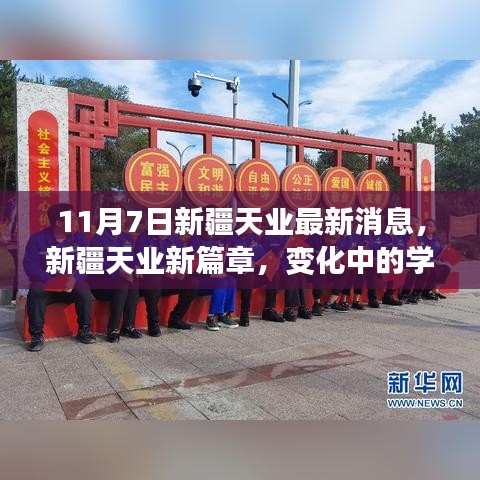 评价 第555页