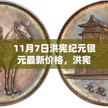 洪宪纪元银元最新动态，价格、评测及用户分析