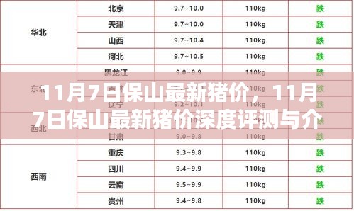 11月7日保山最新猪价深度评测与介绍