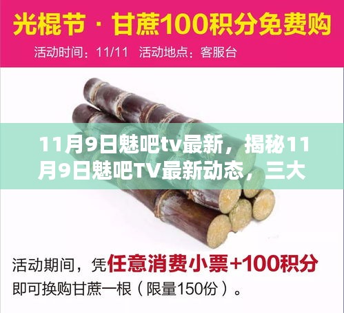 案例 第523页