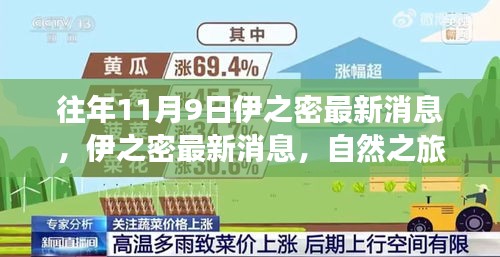 商品分类 第534页