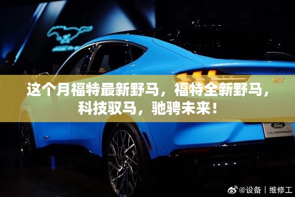 案例 第521页