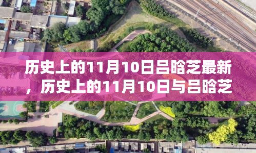案例 第516页