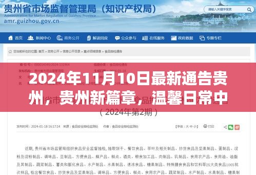 商品分类 第516页