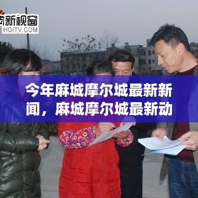 麻城摩尔城最新动态揭秘，特性、体验与目标用户群体的深度探究新闻评测