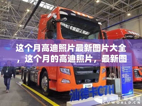 高迪照片最新图片大全与独家案例分析，本月精选图片集
