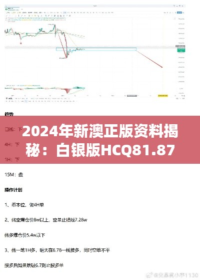 2024年新澳正版资料揭秘：白银版HCQ81.87安全策略详解