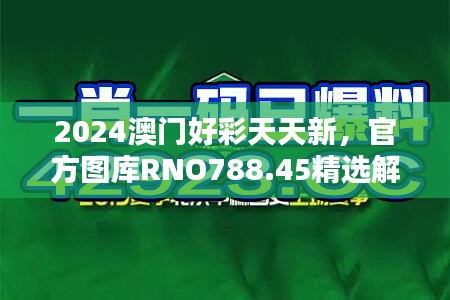 案例 第472页
