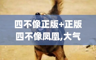 guibuzhaojiao 第19页