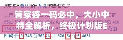 管家婆一码必中，大小中特全解析，终极计划版ERQ632.17深度剖析
