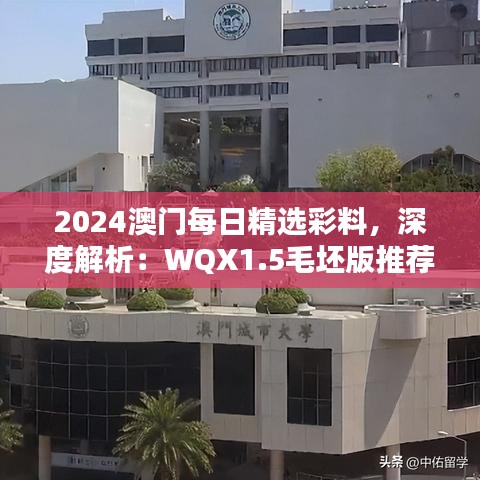 2024澳门每日精选彩料，深度解析：WQX1.5毛坯版推荐