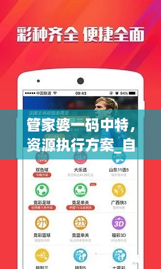 管家婆一码中特，资源执行方案_自由版YXA934.18