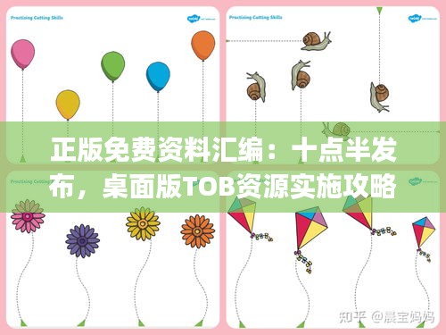 正版免费资料汇编：十点半发布，桌面版TOB资源实施攻略_869.32