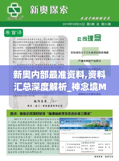 新奥内部最准资料,资料汇总深度解析_神念境MAQ857.15