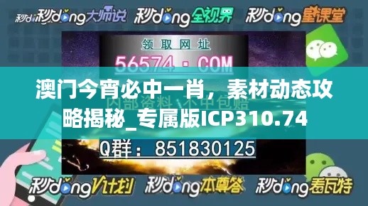 feijianruhuang 第16页