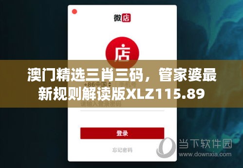 澳门精选三肖三码，管家婆最新规则解读版XLZ115.89