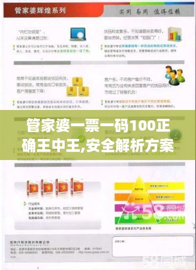 管家婆一票一码100正确王中王,安全解析方案_复制版OSI294.74
