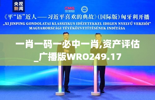 一肖一码一必中一肖,资产评估_广播版WRO249.17