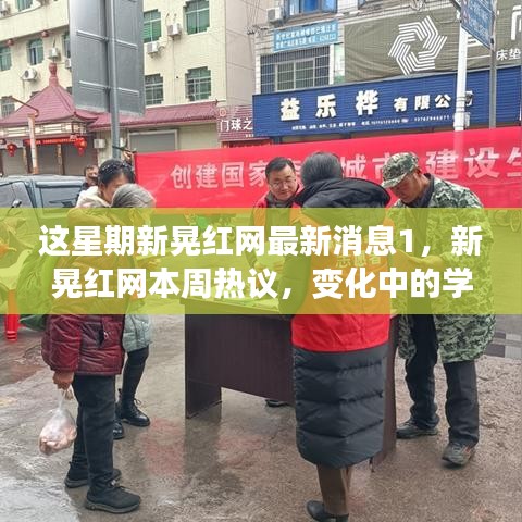案例 第376页
