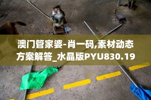 澳门管家婆-肖一码,素材动态方案解答_水晶版PYU830.19