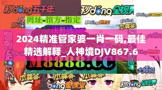 2024精准管家婆一肖一码,最佳精选解释_人神境DJV867.6