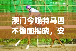 案例 第304页