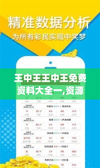 王中王王中王免费资料大全一,资源实施策略_资源版HJP320.42