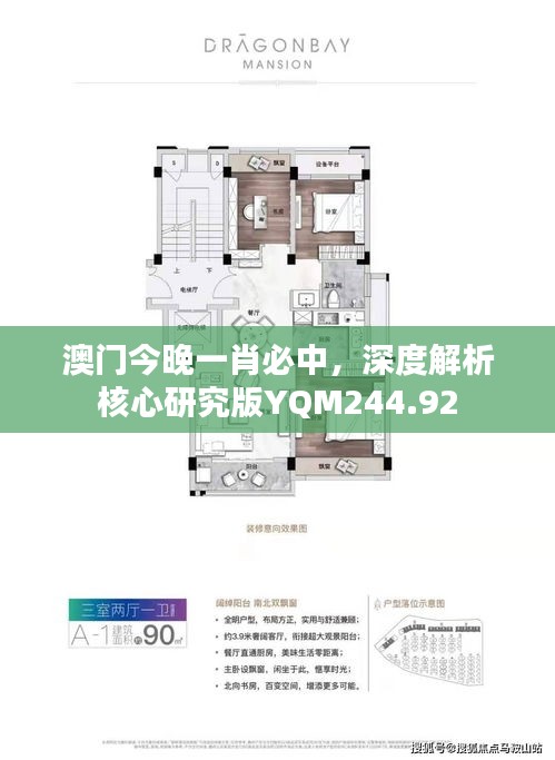 澳门今晚一肖必中，深度解析核心研究版YQM244.92