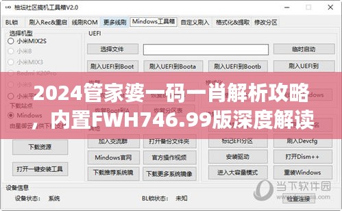 2024管家婆一码一肖解析攻略，内置FWH746.99版深度解读