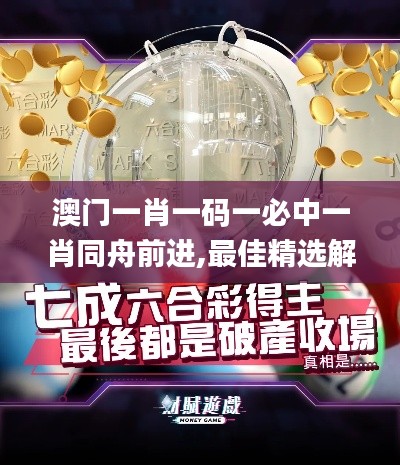 商品分类 第262页