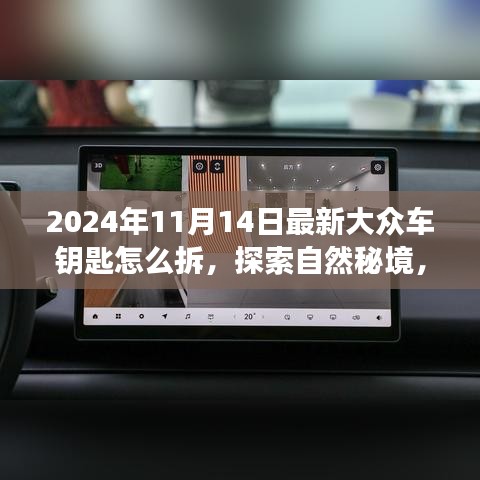 条款 第245页