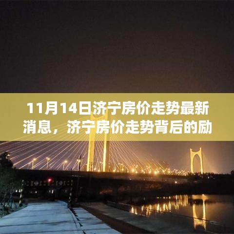 评价 第256页