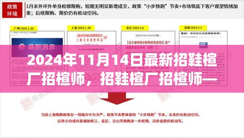 条款 第240页