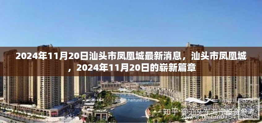 案例 第223页