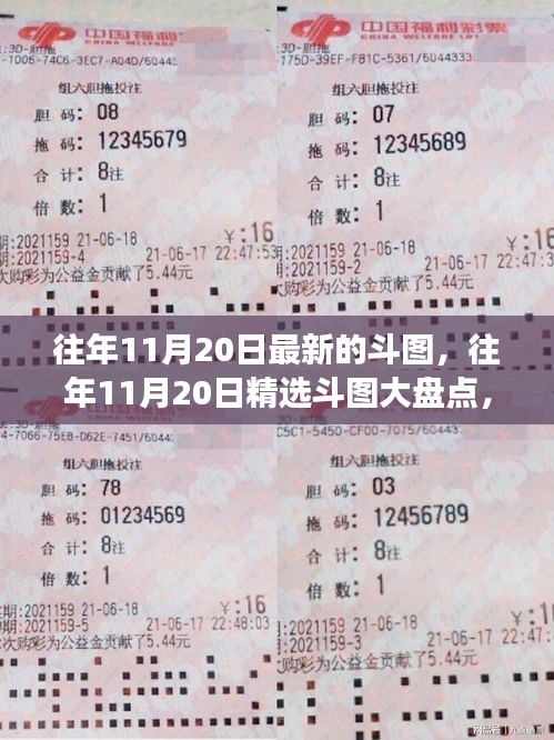 条款 第228页