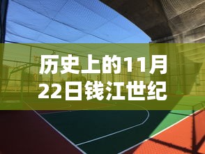 条款 第222页