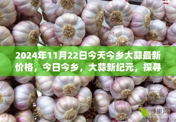 案例 第210页
