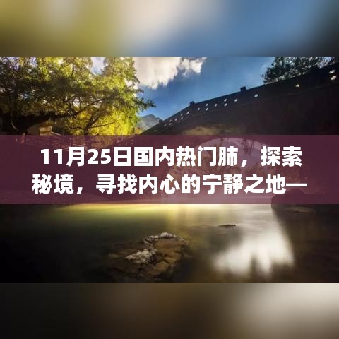案例 第208页