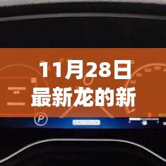 案例 第195页