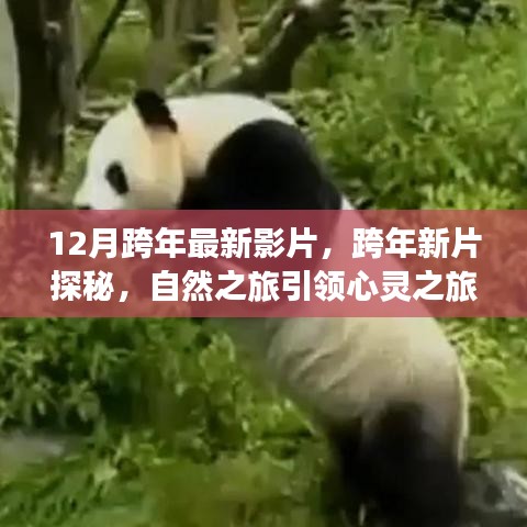 第1223页