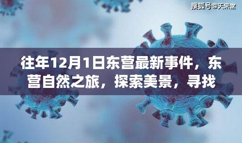 新闻 第184页