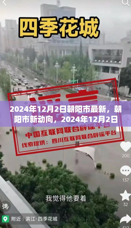 朝阳市新动向深度解析，最新视角与观点阐述（2024年12月2日）