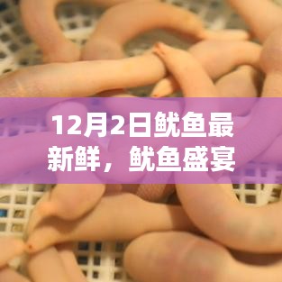 商品分类 第176页