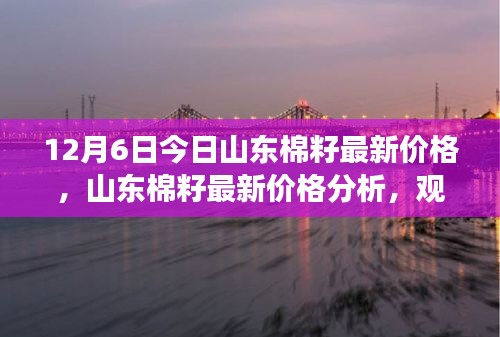 山东棉籽最新价格解析，观点与立场分享（12月6日）